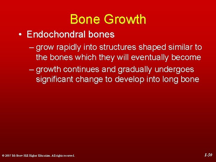 Bone Growth • Endochondral bones – grow rapidly into structures shaped similar to the