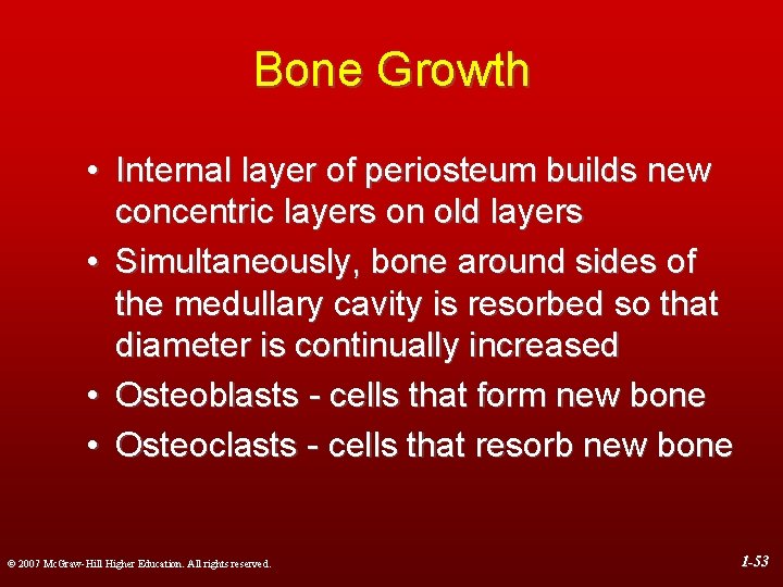 Bone Growth • Internal layer of periosteum builds new concentric layers on old layers