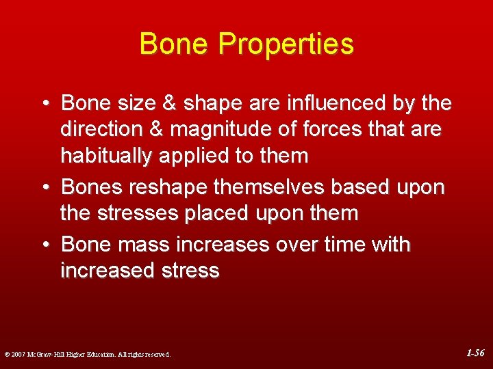 Bone Properties • Bone size & shape are influenced by the direction & magnitude