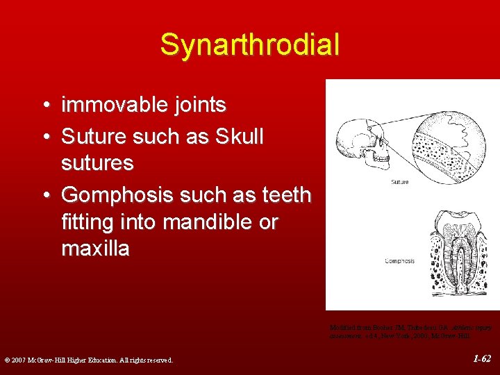 Synarthrodial • immovable joints • Suture such as Skull sutures • Gomphosis such as