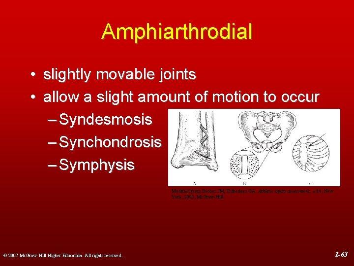 Amphiarthrodial • slightly movable joints • allow a slight amount of motion to occur