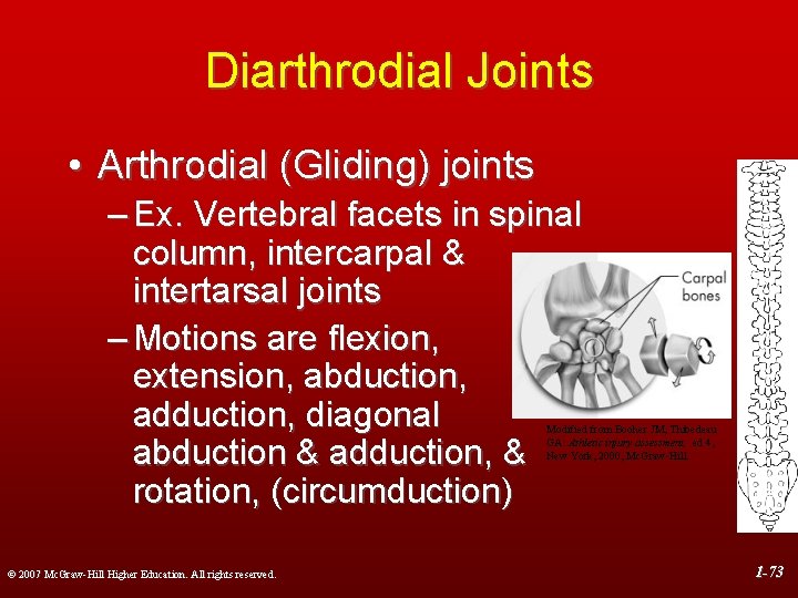 Diarthrodial Joints • Arthrodial (Gliding) joints – Ex. Vertebral facets in spinal column, intercarpal