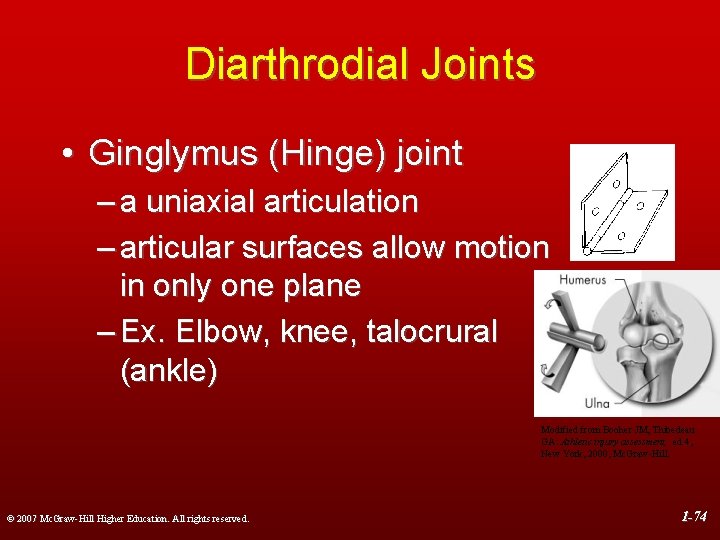 Diarthrodial Joints • Ginglymus (Hinge) joint – a uniaxial articulation – articular surfaces allow