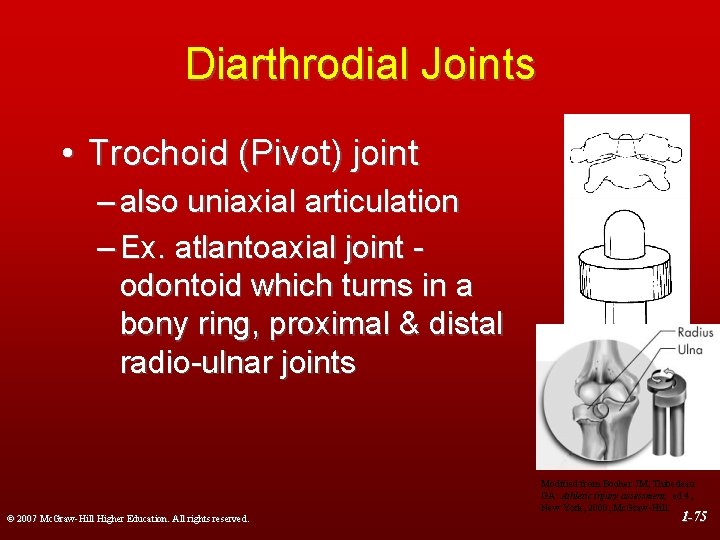 Diarthrodial Joints • Trochoid (Pivot) joint – also uniaxial articulation – Ex. atlantoaxial joint