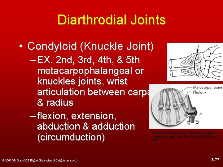 Diarthrodial Joints • Condyloid (Knuckle Joint) – EX. 2 nd, 3 rd, 4 th,