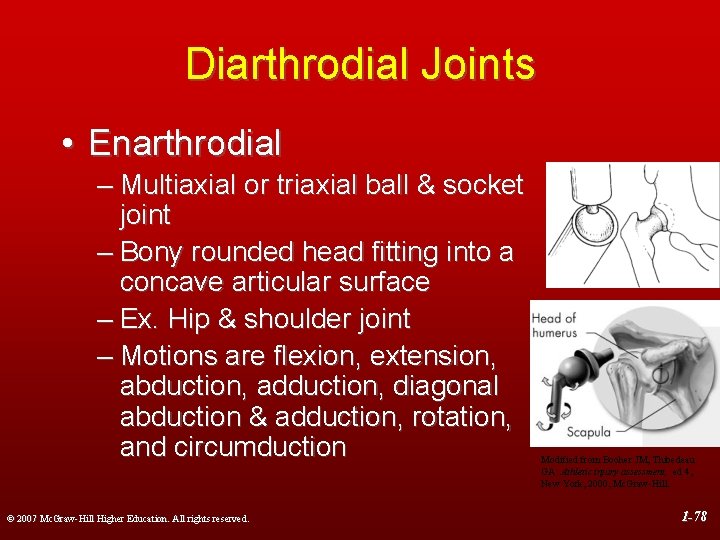 Diarthrodial Joints • Enarthrodial – Multiaxial or triaxial ball & socket joint – Bony