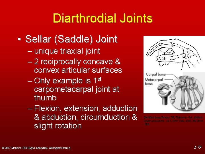 Diarthrodial Joints • Sellar (Saddle) Joint – unique triaxial joint – 2 reciprocally concave