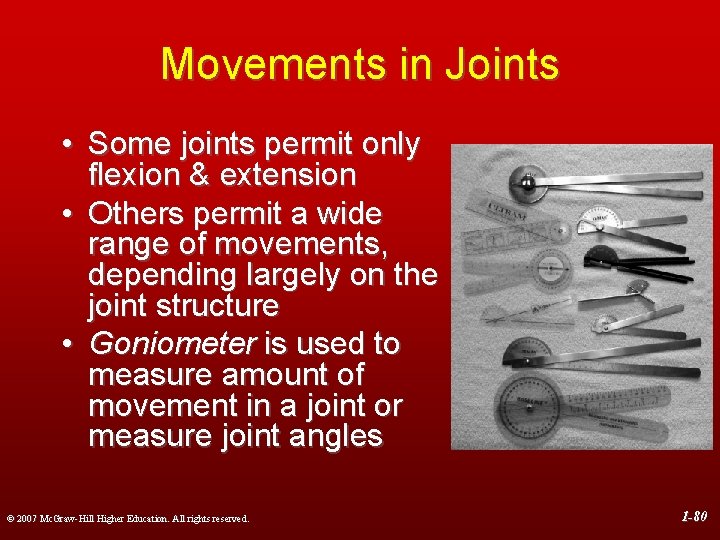 Movements in Joints • Some joints permit only flexion & extension • Others permit