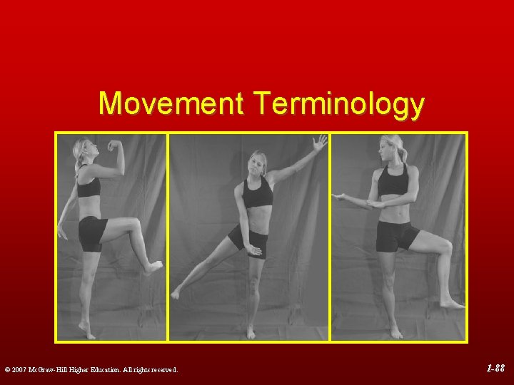 Movement Terminology © 2007 Mc. Graw-Hill Higher Education. All rights reserved. 1 -88 