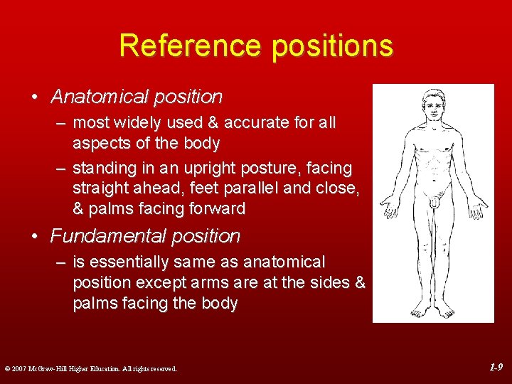 Reference positions • Anatomical position – most widely used & accurate for all aspects