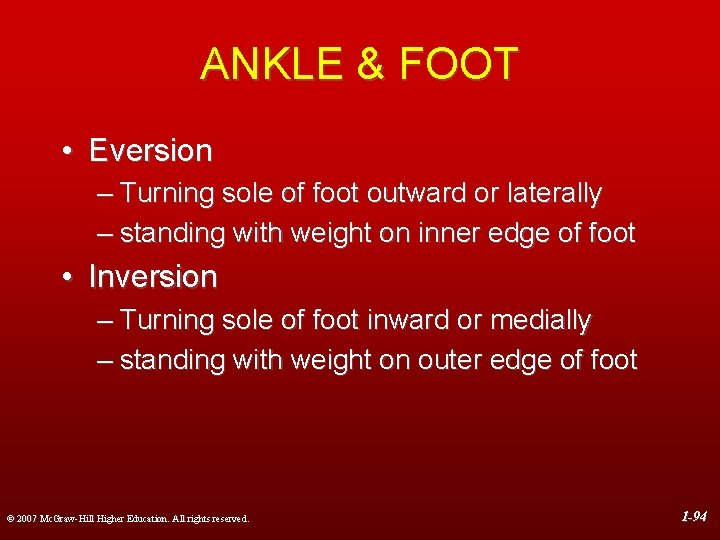 ANKLE & FOOT • Eversion – Turning sole of foot outward or laterally –