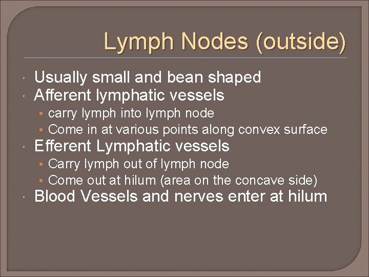 Lymph Nodes (outside) Usually small and bean shaped Afferent lymphatic vessels • carry lymph