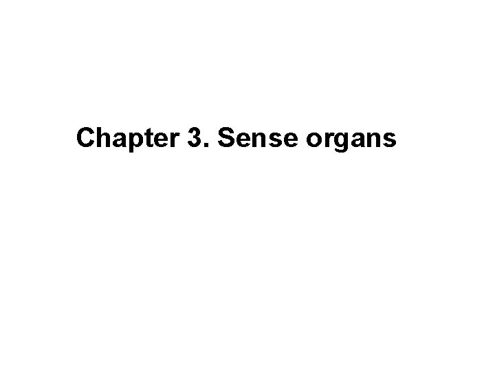 Chapter 3. Sense organs 