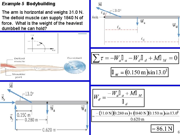 Example 5 Bodybuilding The arm is horizontal and weighs 31. 0 N. The deltoid