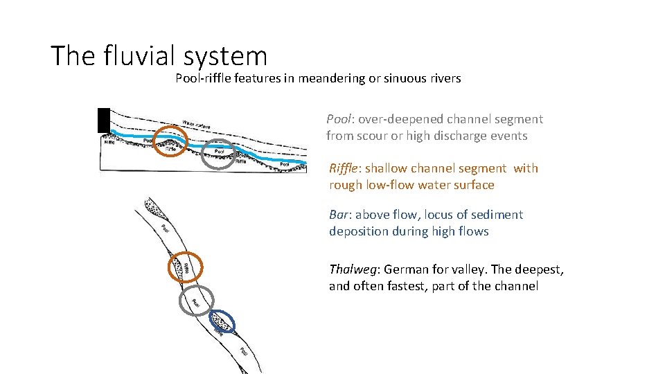 The fluvial system Pool-riffle features in meandering or sinuous rivers Pool: over-deepened channel segment