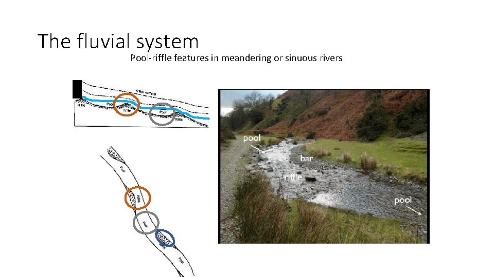 The fluvial system Pool-riffle features in meandering or sinuous rivers 