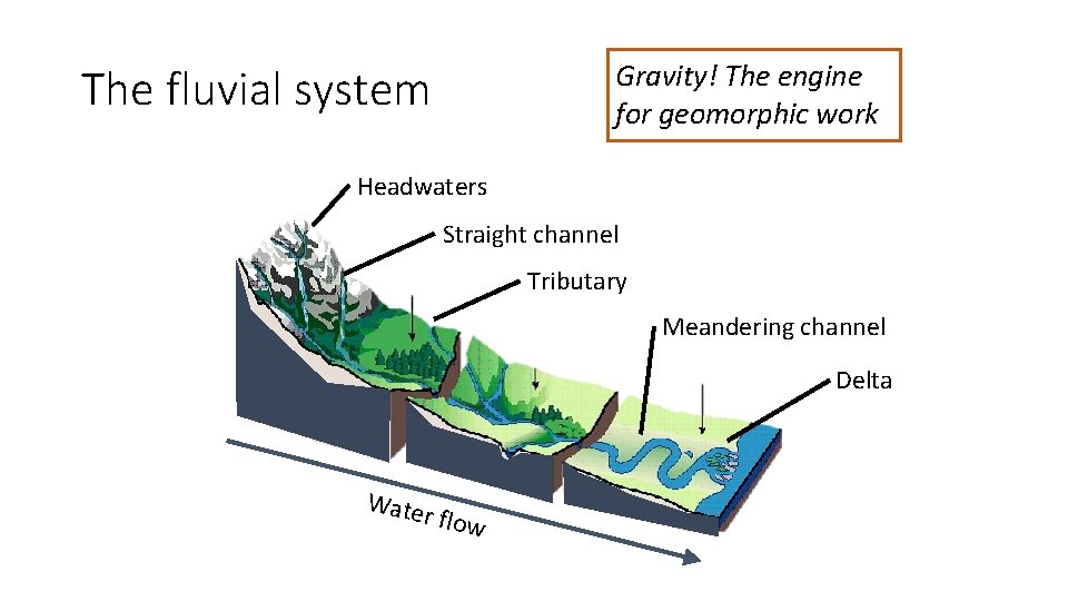 Gravity! The engine for geomorphic work The fluvial system Headwaters Straight channel Tributary Meandering