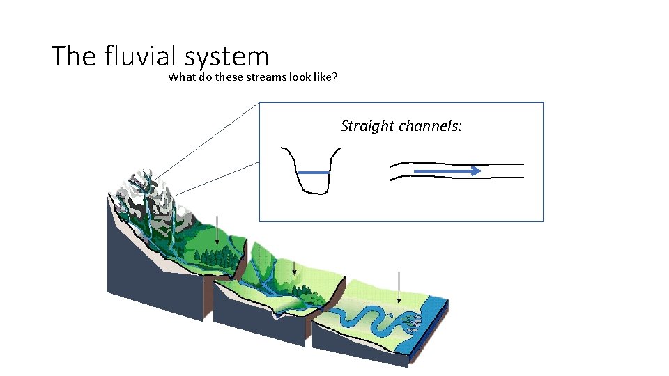 The fluvial system What do these streams look like? Straight channels: 