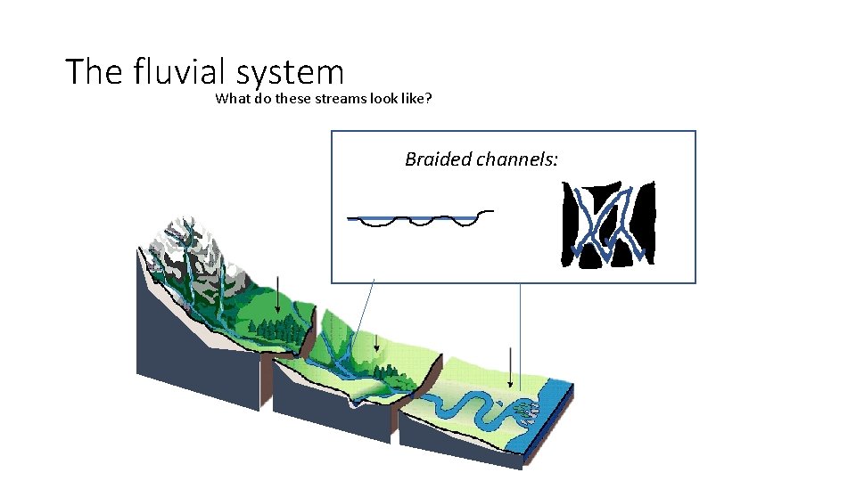 The fluvial system What do these streams look like? Braided channels: 