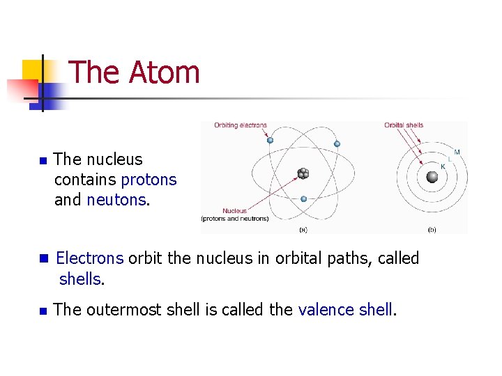 The Atom n The nucleus contains protons and neutons. n Electrons orbit the nucleus