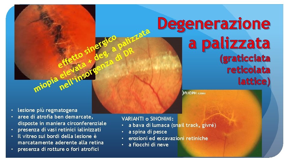 a t a zz o li c i rg pa e in g. a