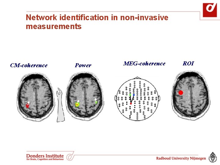 Network identification in non-invasive measurements CM-coherence Power MEG-coherence ROI Network identification in non-invasive measurements CM-coherence Power MEG-coherence ROI