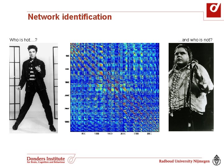 Network identification Who is hot. . ? . . . and who is not? Network identification Who is hot. . ? . . . and who is not?