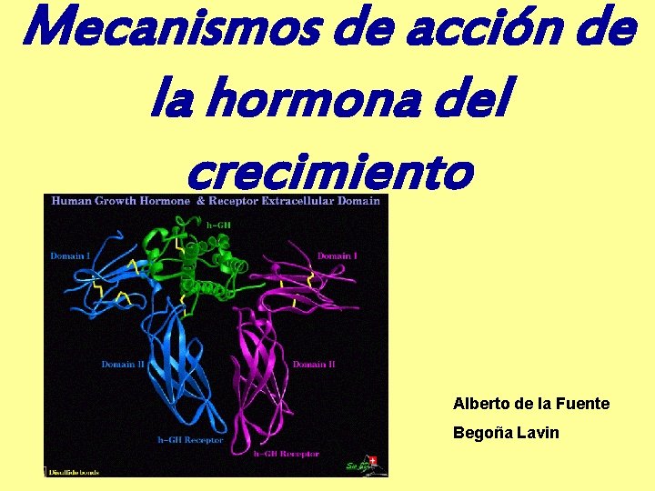 Mecanismos de acción de la hormona del crecimiento Alberto de la Fuente Begoña Lavin
