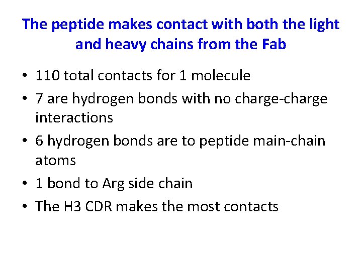 The peptide makes contact with both the light and heavy chains from the Fab