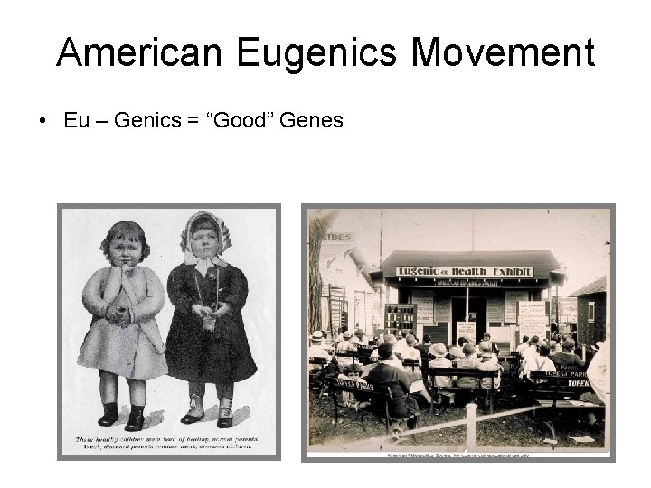 American Eugenics Movement • Eu – Genics = “Good” Genes 