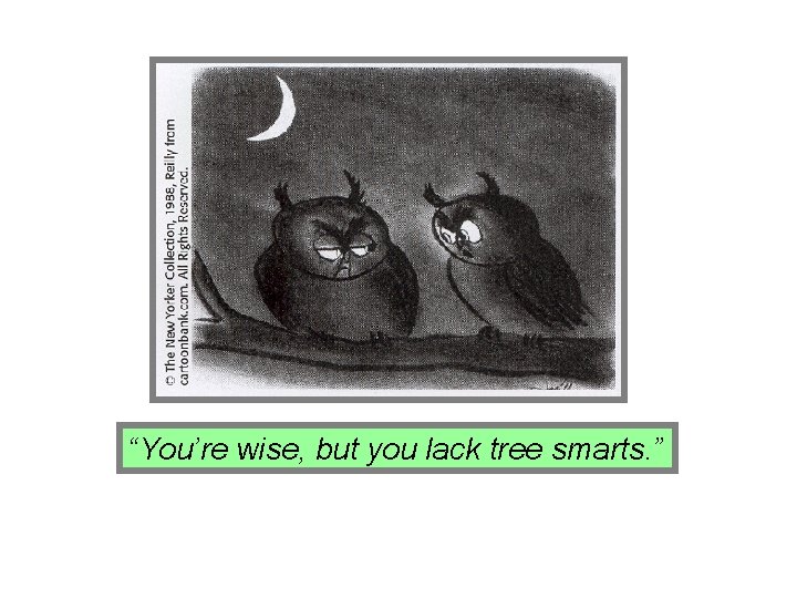 “You’re wise, but you lack tree smarts. ” 