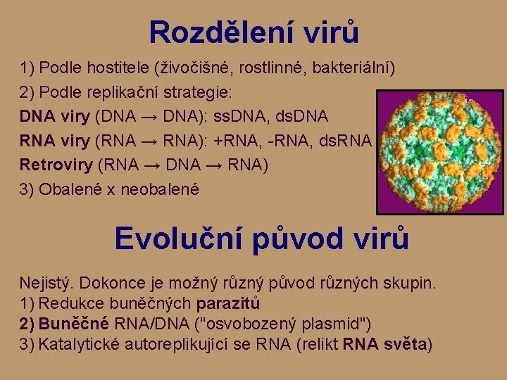 Rozdělení virů 1) Podle hostitele (živočišné, rostlinné, bakteriální) 2) Podle replikační strategie: DNA viry