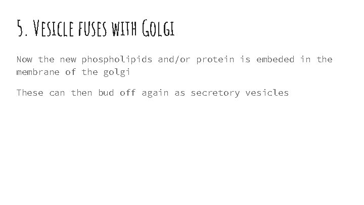 5. Vesicle fuses with Golgi Now the new phospholipids and/or protein is embeded in