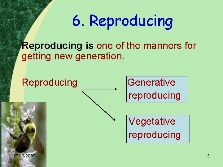 6. Reproducing is one of the manners for getting new generation. Reproducing Generative reproducing