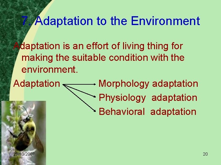 7. Adaptation to the Environment Adaptation is an effort of living thing for making