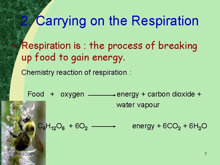2. Carrying on the Respiration • Respiration is : the process of breaking up