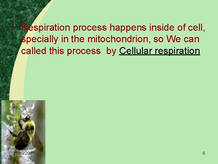  • Respiration process happens inside of cell, specially in the mitochondrion, so We