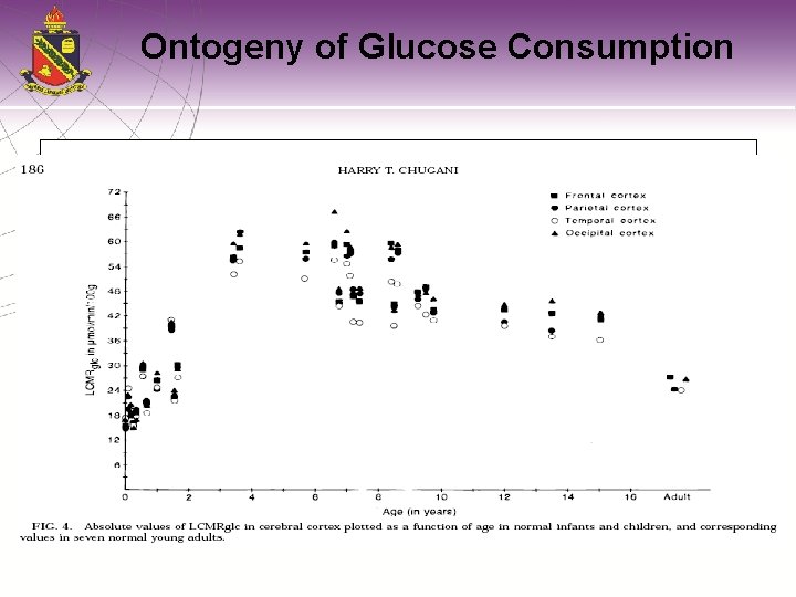 Ontogeny of Glucose Consumption 
