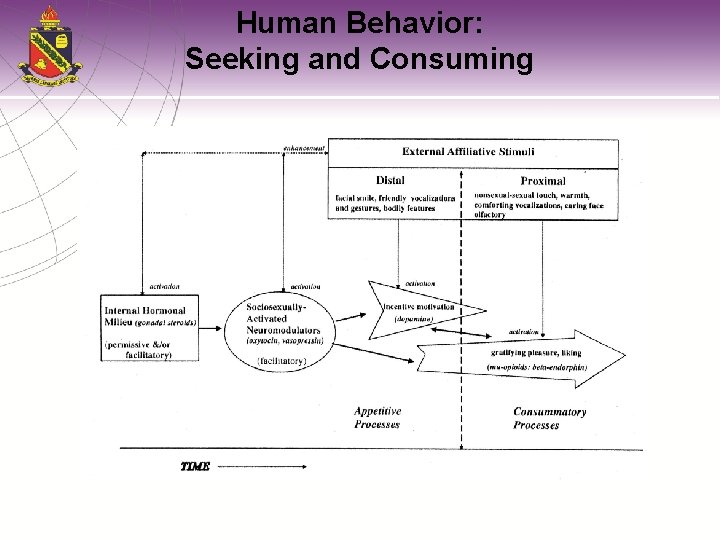 Human Behavior: Seeking and Consuming 