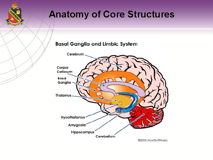 Anatomy of Core Structures 