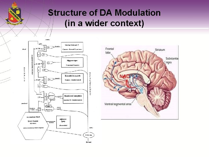 Structure of DA Modulation (in a wider context) 