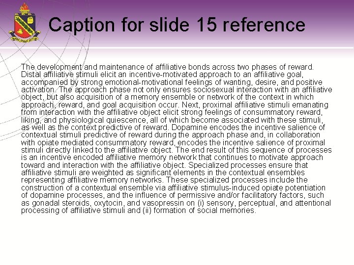 Caption for slide 15 reference The development and maintenance of affiliative bonds across two