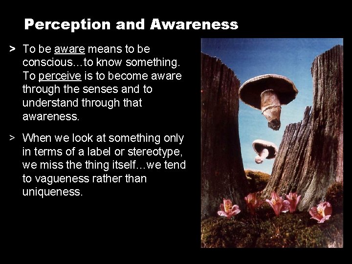 Perception and Awareness > To be aware means to be conscious…to know something. To Perception and Awareness > To be aware means to be conscious…to know something. To