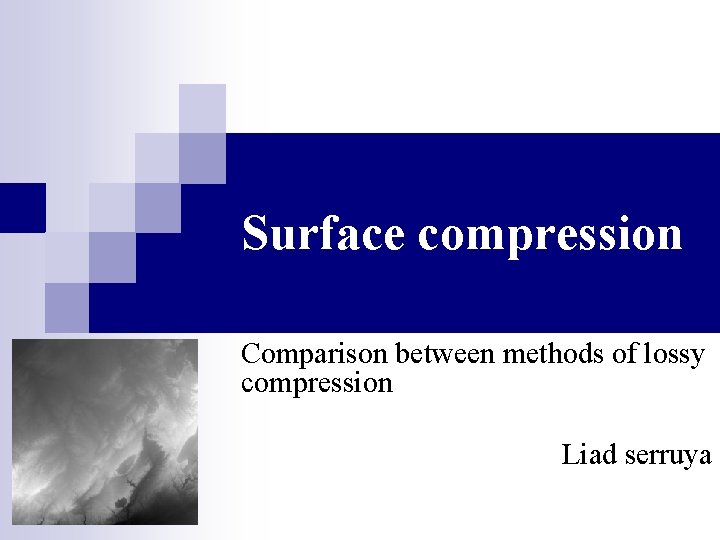 Surface compression Comparison between methods of lossy compression Liad serruya 