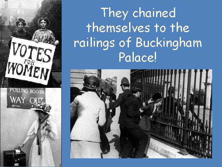 They chained themselves to the railings of Buckingham Palace! 