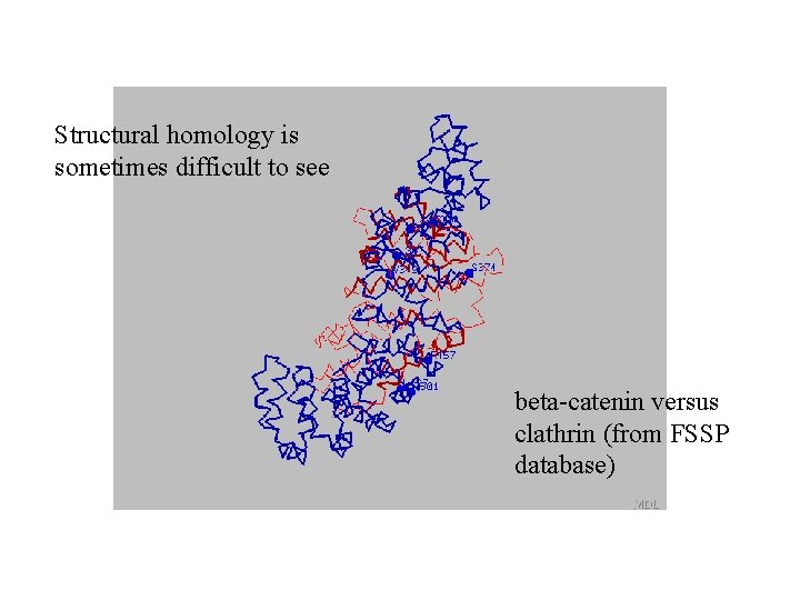 Structural homology is sometimes difficult to see beta-catenin versus clathrin (from FSSP database) 