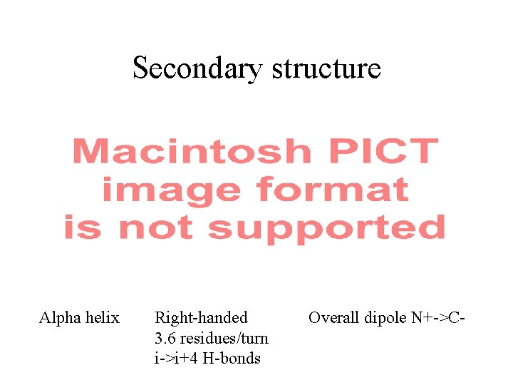 Secondary structure Alpha helix Right-handed 3. 6 residues/turn i->i+4 H-bonds Overall dipole N+->C- 