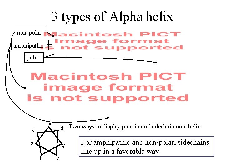 3 types of Alpha helix non-polar amphipathic polar a e d Two ways to
