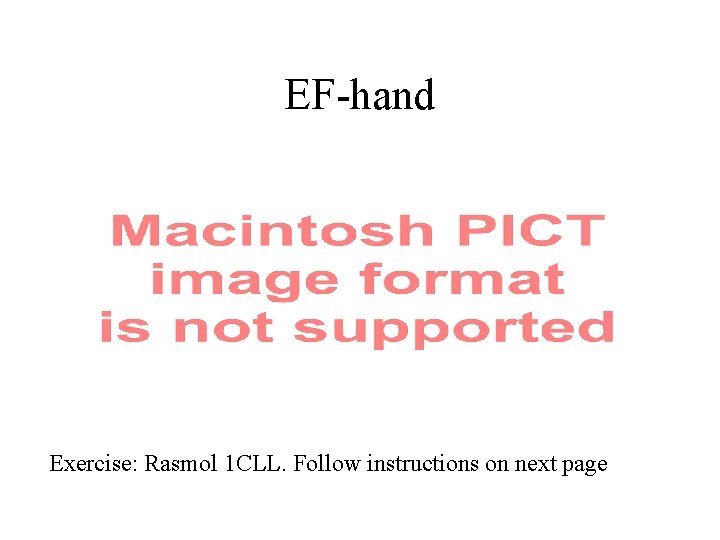 EF-hand Exercise: Rasmol 1 CLL. Follow instructions on next page 