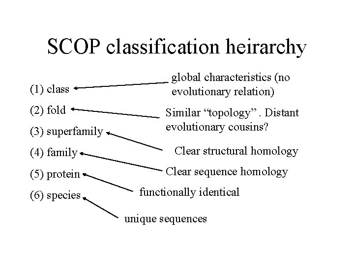 SCOP classification heirarchy (1) class (2) fold (3) superfamily (4) family (5) protein (6)